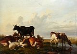 Cattle and Sheep Probably in Canterbury Meadows by Thomas Sidney Cooper
